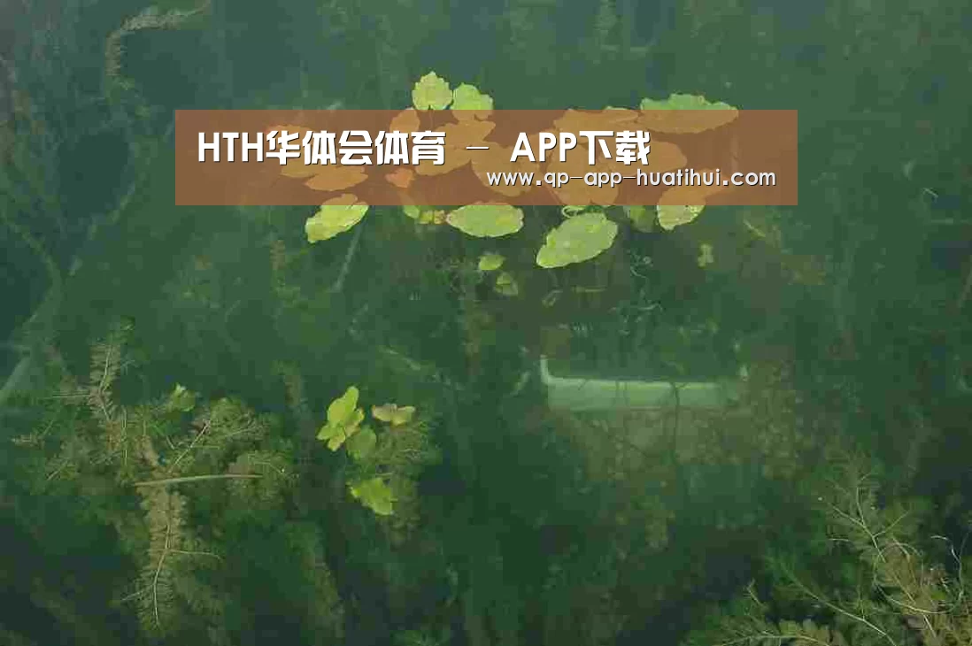 案例展示三(图1)