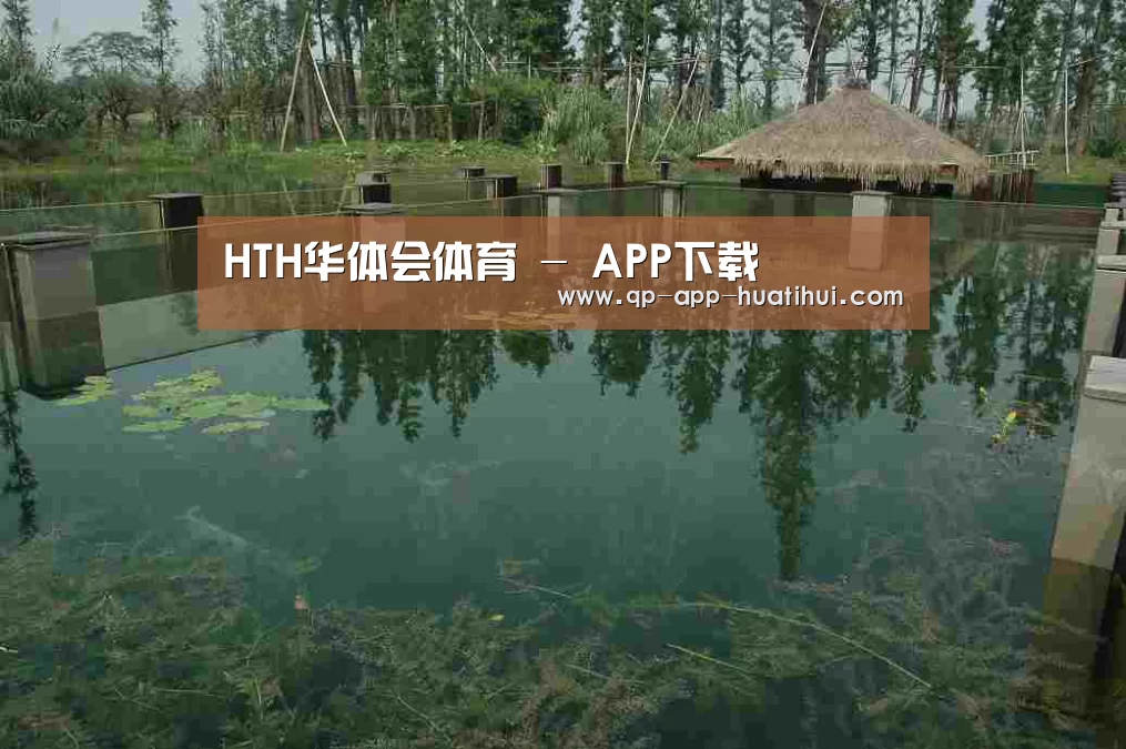案例展示二(图1)