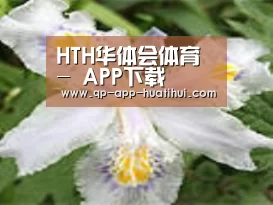 产品名称二