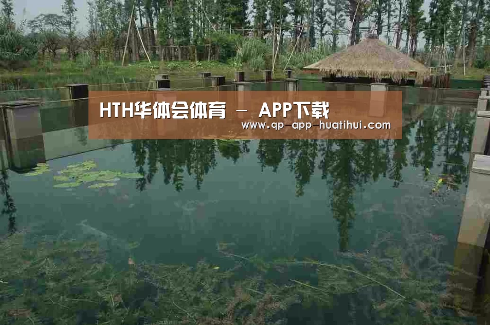 案例展示二