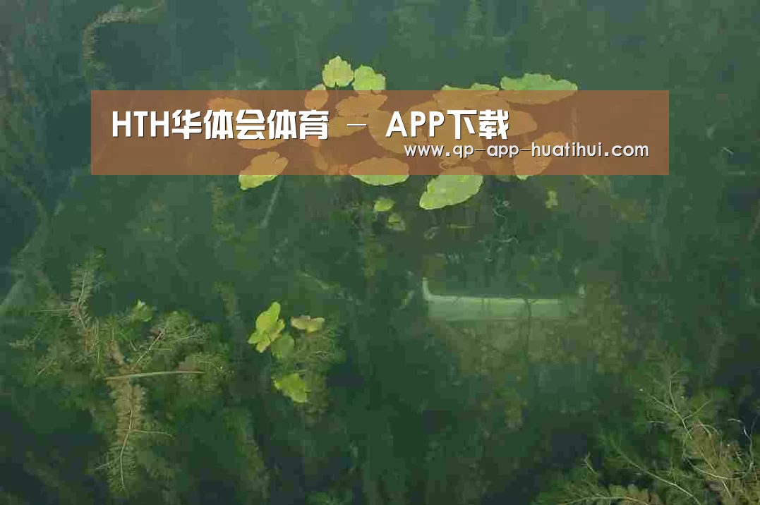 案例展示三