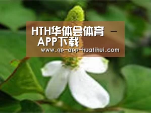 产品名称三