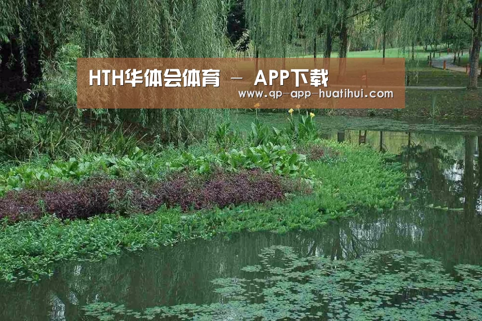 案例展示一