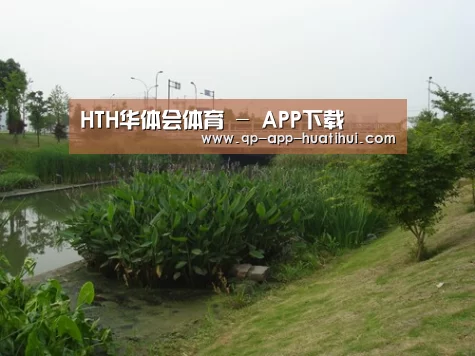 案例展示四