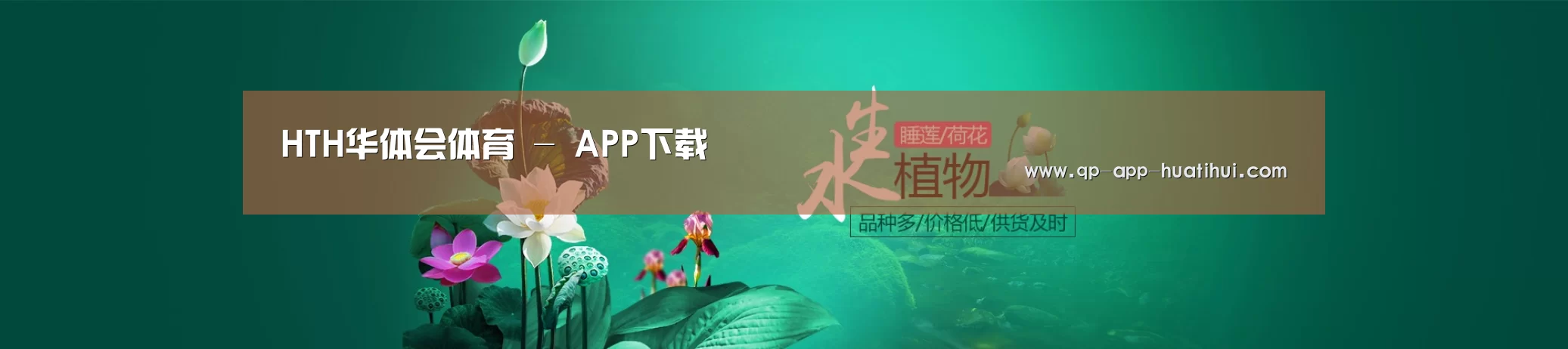 鲜花水草花卉网站模板