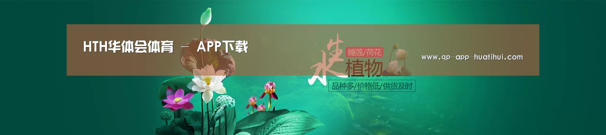 鲜花水草花卉网站模板