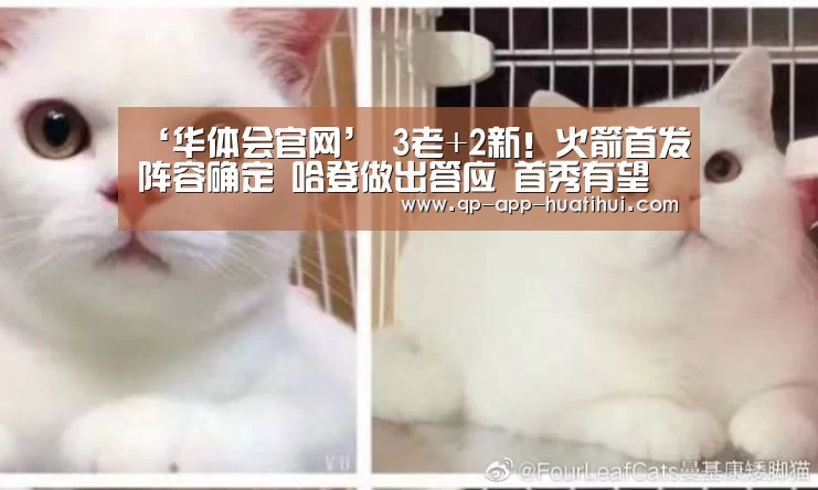 ‘华体会官网’
3老+2新！火箭首发阵容确定 哈登做出答应 首秀有望打爆雷霆(图5)
