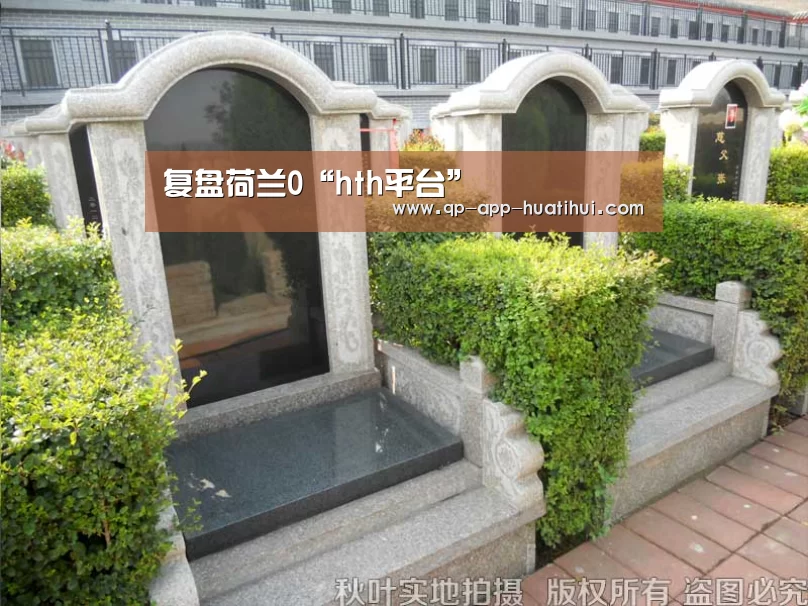 
复盘荷兰0“hth平台”(图5)