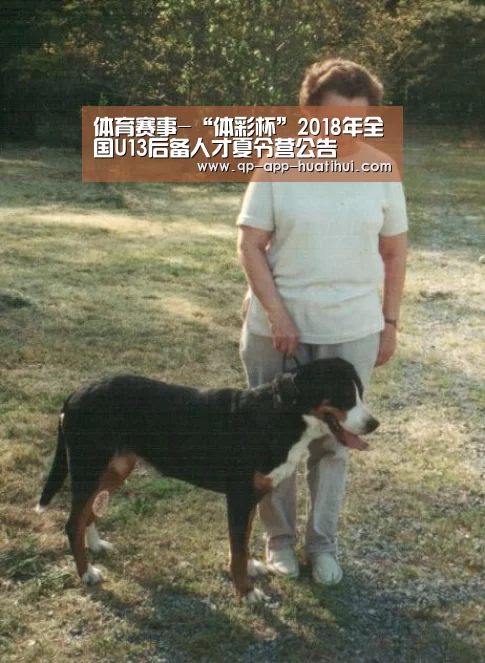 hth平台