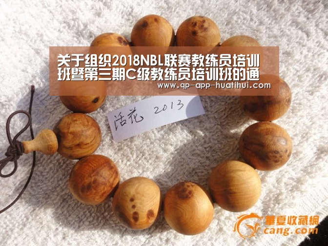 关于组织2018NBL联赛教练员培训班暨第三期C级教练员培训班的通知“hth”(图1)