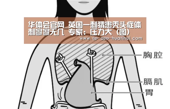 华体会官网_英国一刺猬患秃头症体刺寥寥无几 专家:压力大(图)(图4) hth平台