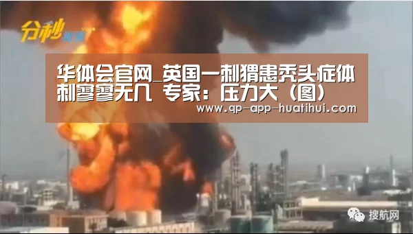 华体会官网_英国一刺猬患秃头症体刺寥寥无几 专家:压力大(图)(图3) 华体会官网_英国一刺猬患秃头症体刺寥寥无几 专家:压力大(图)(图3)