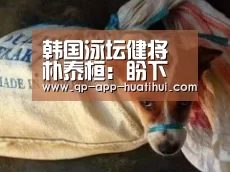 韩国泳坛健将朴泰桓:盼下月世锦赛夺金 超越自我_体育赛事(图1) 韩国泳坛健将朴泰桓:盼下月世锦赛夺金 超越自我_体育赛事(图1)