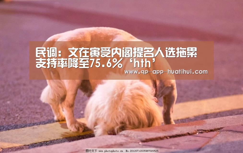 民调:文在寅受内阁提名人选拖累支持率降至75.6%‘hth’(图2) 民调:文在寅受内阁提名人选拖累支持率降至75.6%‘hth’(图2)